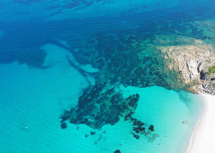 Sous Le Pin - Paisible Face Aux Iles Lavezzi * Bonifacio