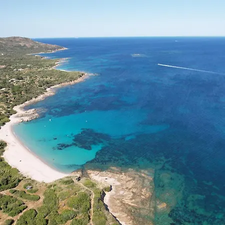 Sous Le Pin - Paisible Face Aux Iles Lavezzi * Bonifacio (Corsica)