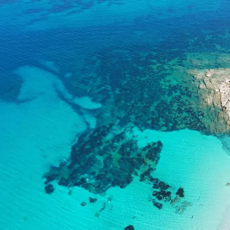 Sous Le Pin - Paisible Face Aux Iles Lavezzi * Bonifacio (Corsica)